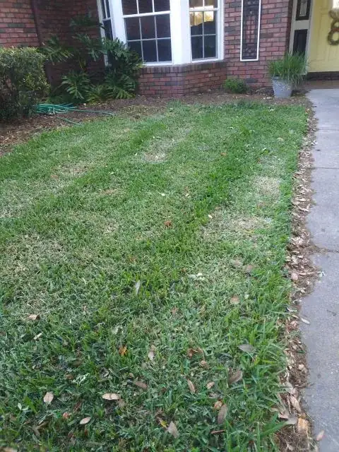 newly laid lawn