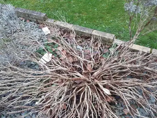 closer view of part C