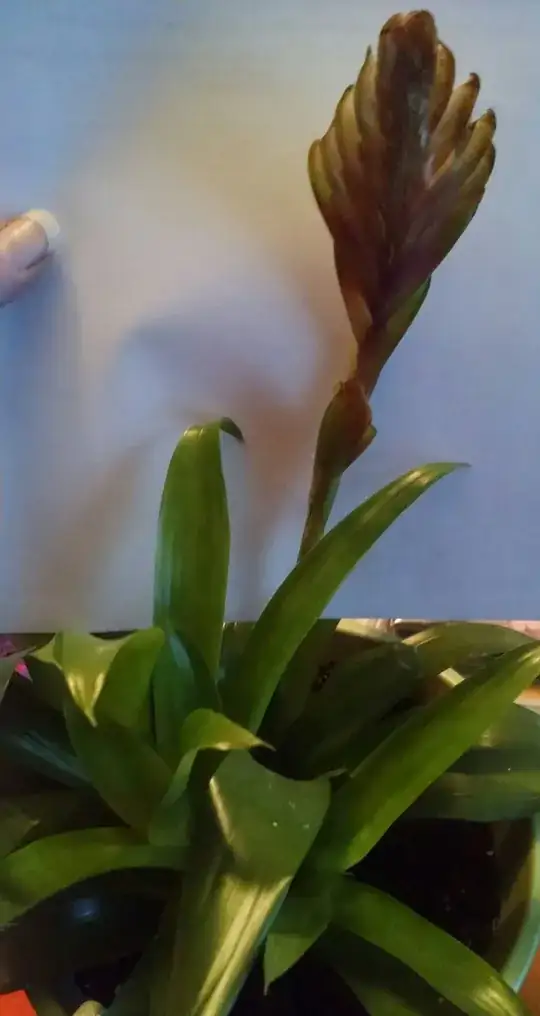 Larger Brom Side view of Bloom Pic1