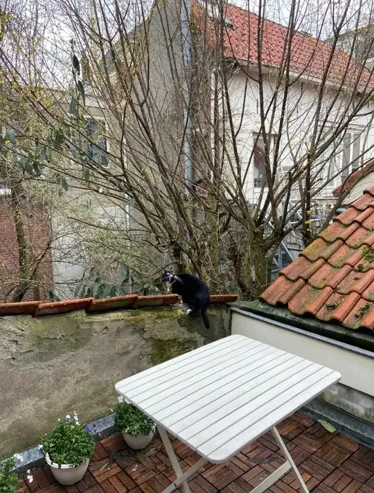 picture showing yellow flowers