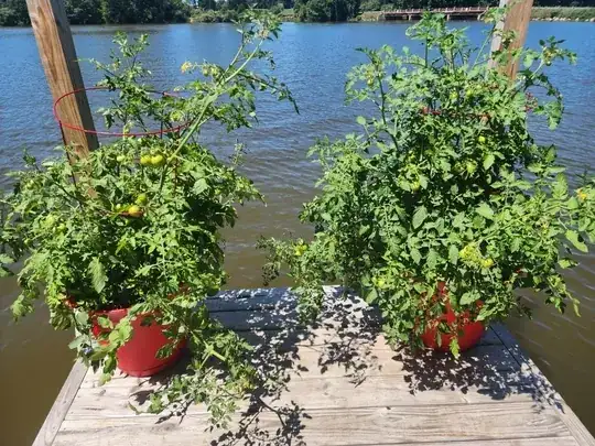 [1]: https://i.sstatic.net/Z6rAd.jpg