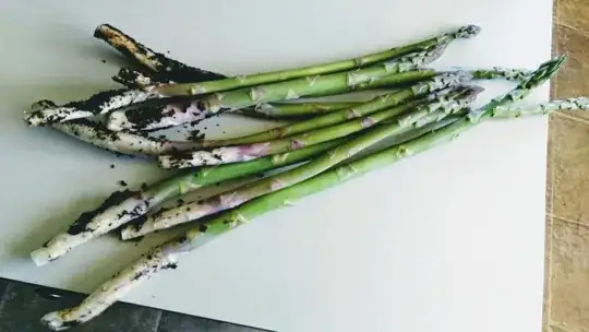 Here's what twisting them out looks like when harvested