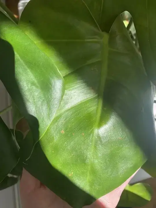 enter image description here