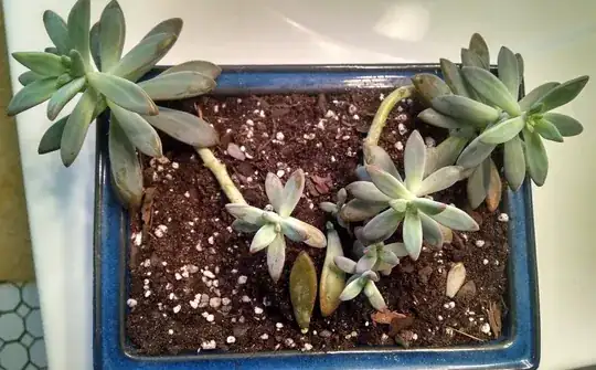 Solution Pic, too view