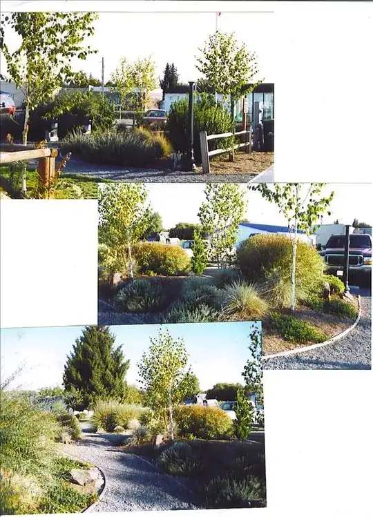 Blue Arctic Willow Shrubs after 2 years