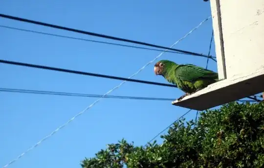 Parrots!