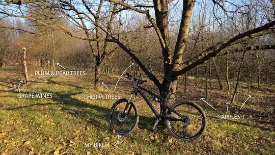 Part of orchard in February