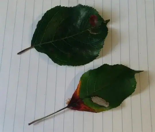 Leaf with sickness