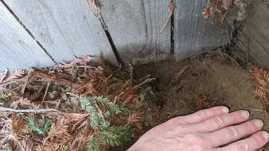 Northern hole with hand to show size better