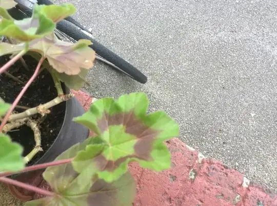 Photos to follow shortly.