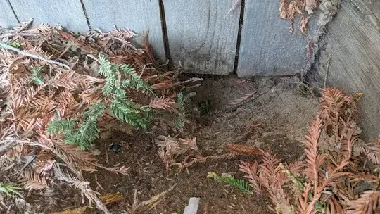 Northern hole, close up