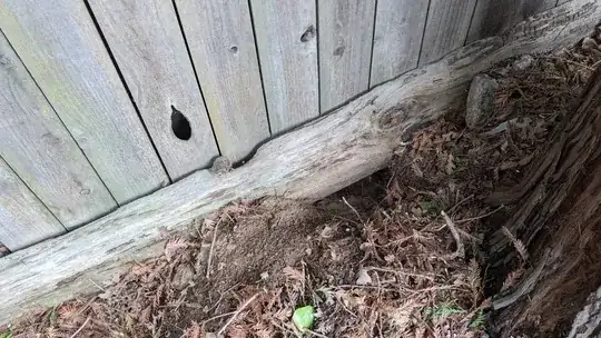 Southern hole, shot 1