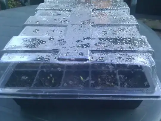 Seedling tray