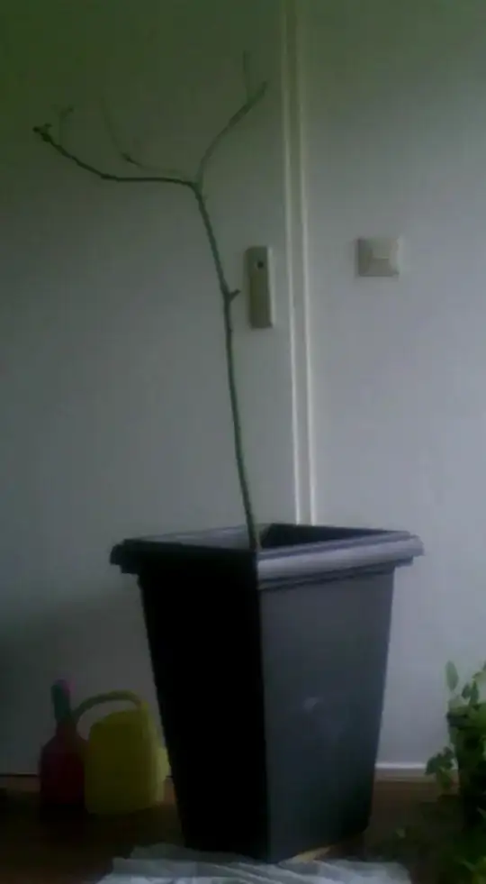 Avocado in large pot