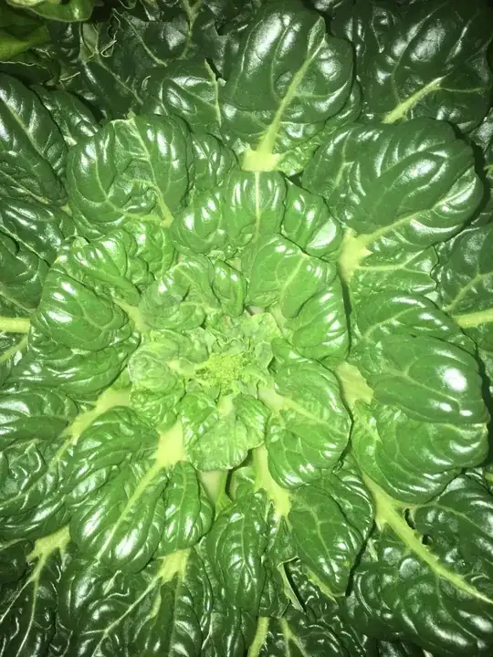 Looking down from top