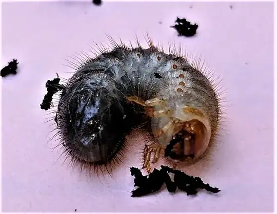 Smile for the camera....