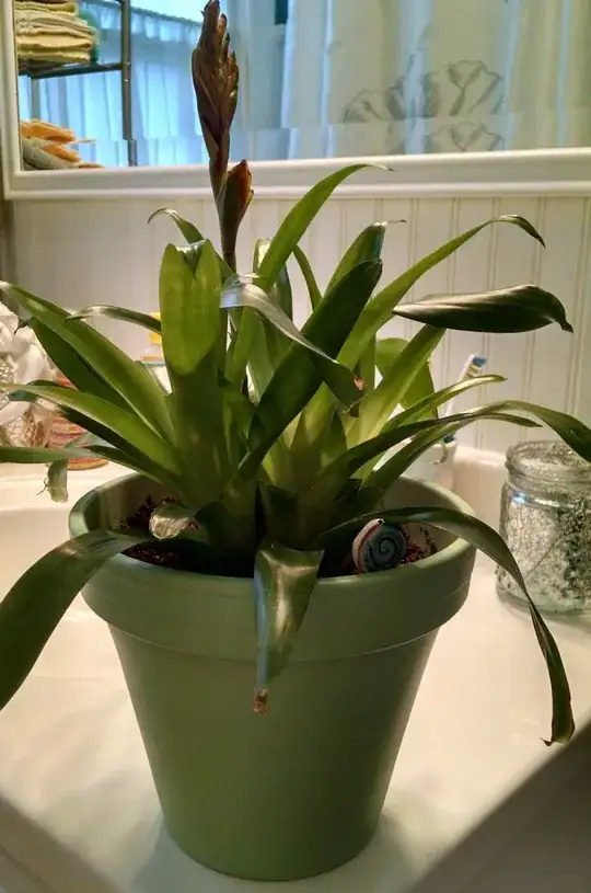 Larger Brom sideview better light Pic3