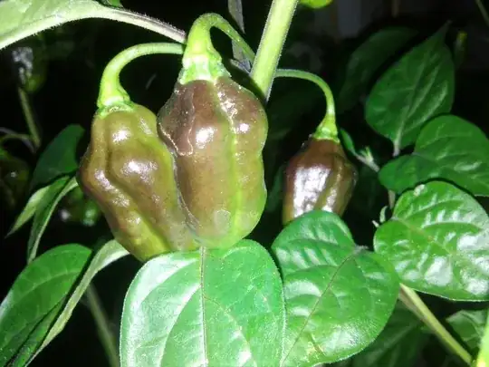 Other "Burned" fruits