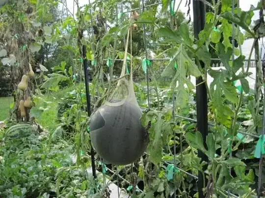 melon sling made out of nylons