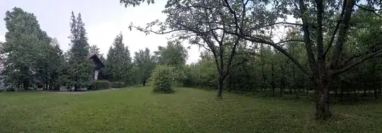 Wide angle shot in June