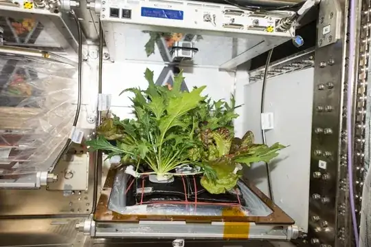 ISS VEG-03D