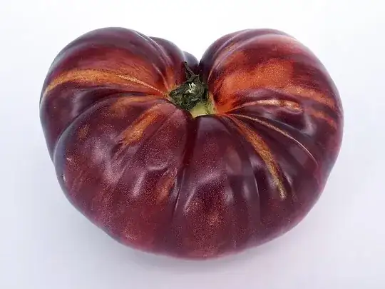 enter link description here