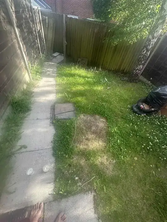 Garden photo back angle