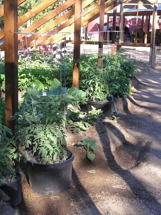 my raised beds[![][1]