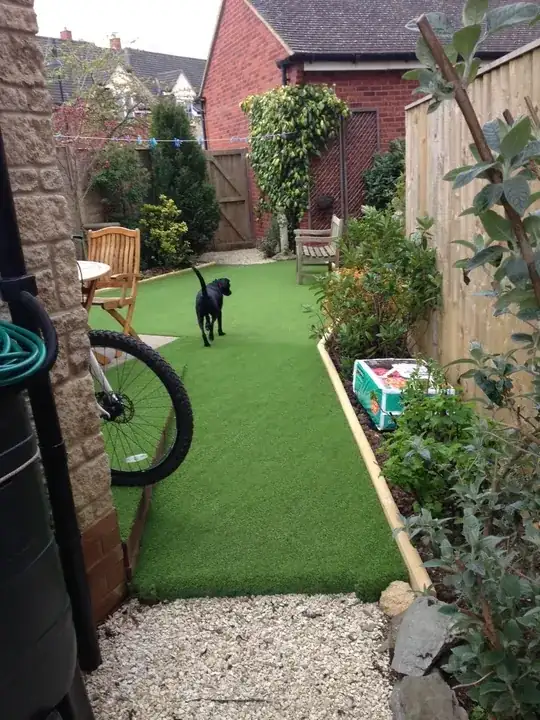 new artificial lawn laid; dog likes it