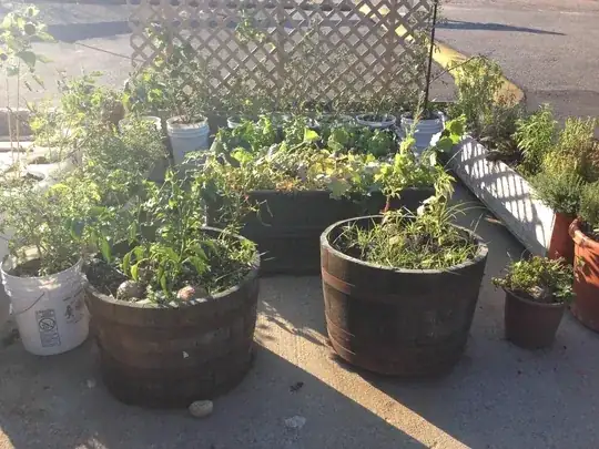Various containers on cement surrounded by blacktop