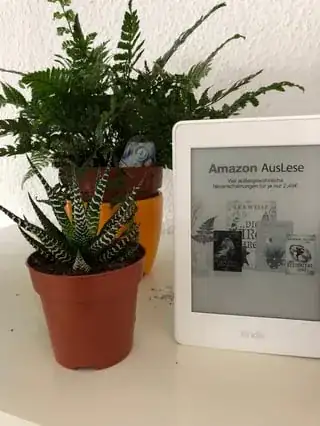 1st in online collection