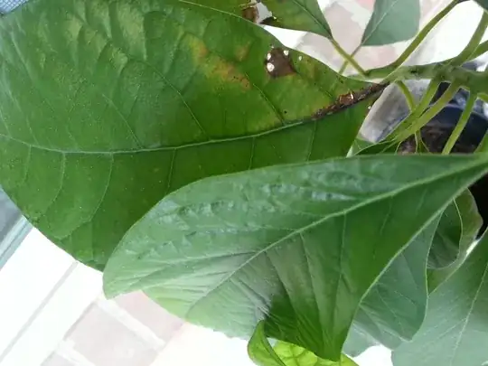 enter image description here