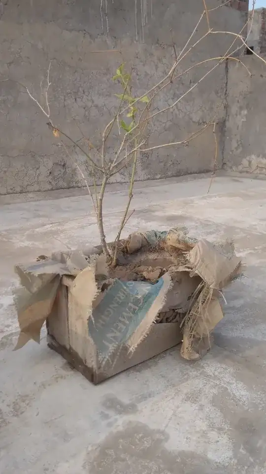 My setup on the rooftop