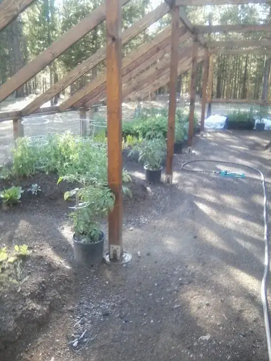 raised beds without structural elements