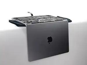aP5HqoLAIUKFELQG