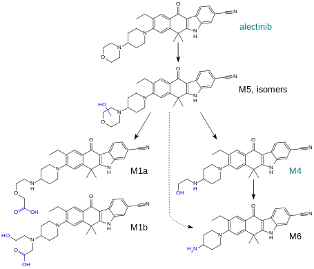 Proposed metabolism of alectinib. Alectinib itself and the active metabolite M4 are the main compounds found in the circulation, while the others are minor metabolites.