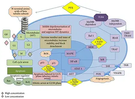 Mechanism of action