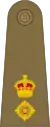 Lieutenant-Colonel