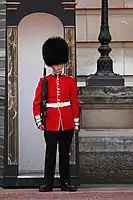 The iconic bearskins of the King's Guard at Buckingham Palace are made from the fur of American black bears.