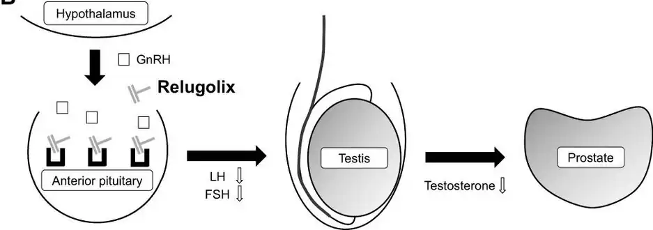Mechanism of action