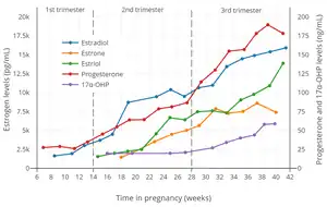 Estrogen, progesterone, and 17α-hydroxyprogesterone (17α-OHP) levels during pregnancy in women. The dashed vertical lines separate the trimesters.
