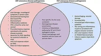 Comparison of disease phenotypes of OW and NW arenaviruses