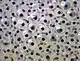 Frogspawn
