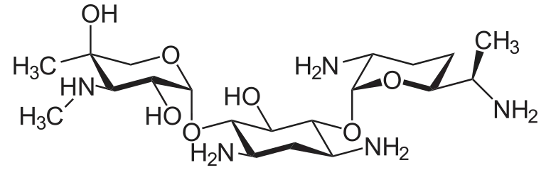 Gentamicin