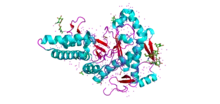 Structure of HYAL-1