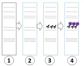 Immunological Methods Western Blot