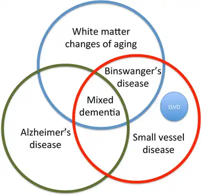Venn diagram of  various categories of small vessel vascular cognitive impairment