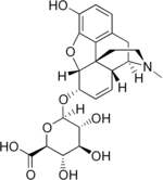 Chemical structure of Morphine 6-glucuronide.