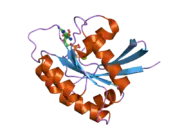 2cld: CRYSTAL STRUCTURE ANALYSIS OF A FLUORESCENT FORM OF H-RAS P21 IN COMPLEX WITH GDP (2)