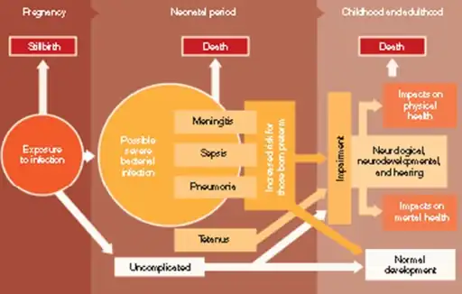 Disease schema for severe bacterial infection in neonates.